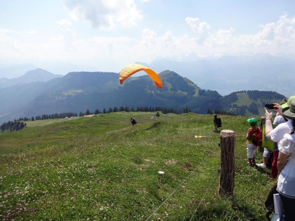 Schweizerhof 3*