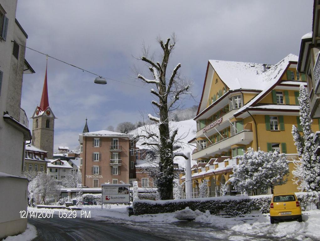 Schweizerhof 3* Weggis